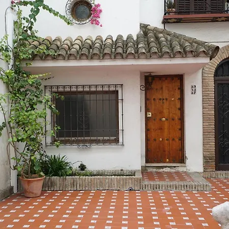 Dreamsapt Placentines Daire Sevilla