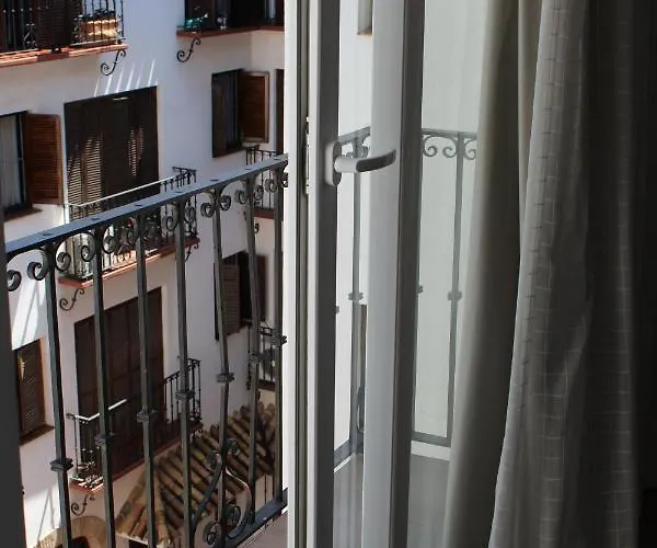 Dreamsapt Placentines *